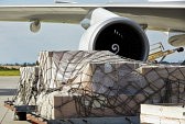 Air Freight Packing & Shipping Wellington,Florida